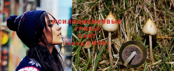 spice Алексеевка