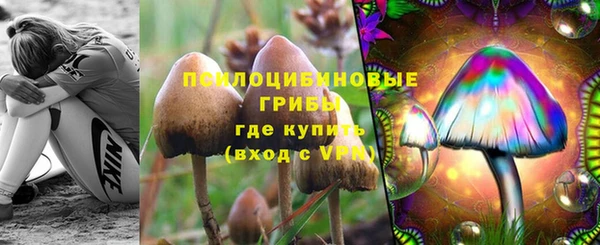 spice Алексеевка