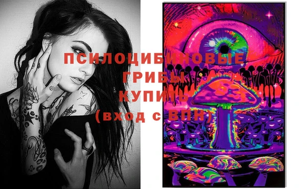 гидропоника Алексин